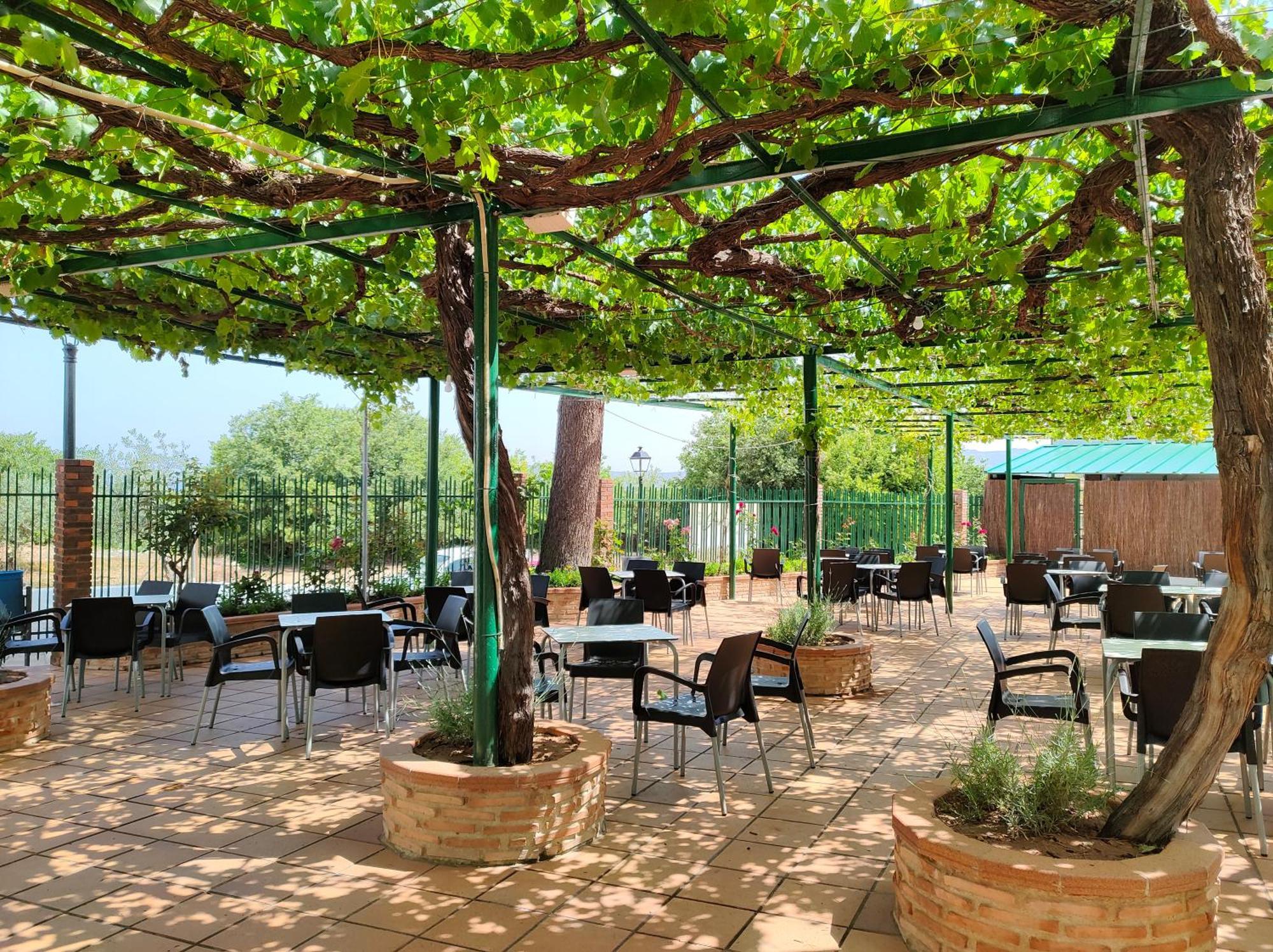El Molino Hostal-Restaurante Jarafuel Dış mekan fotoğraf