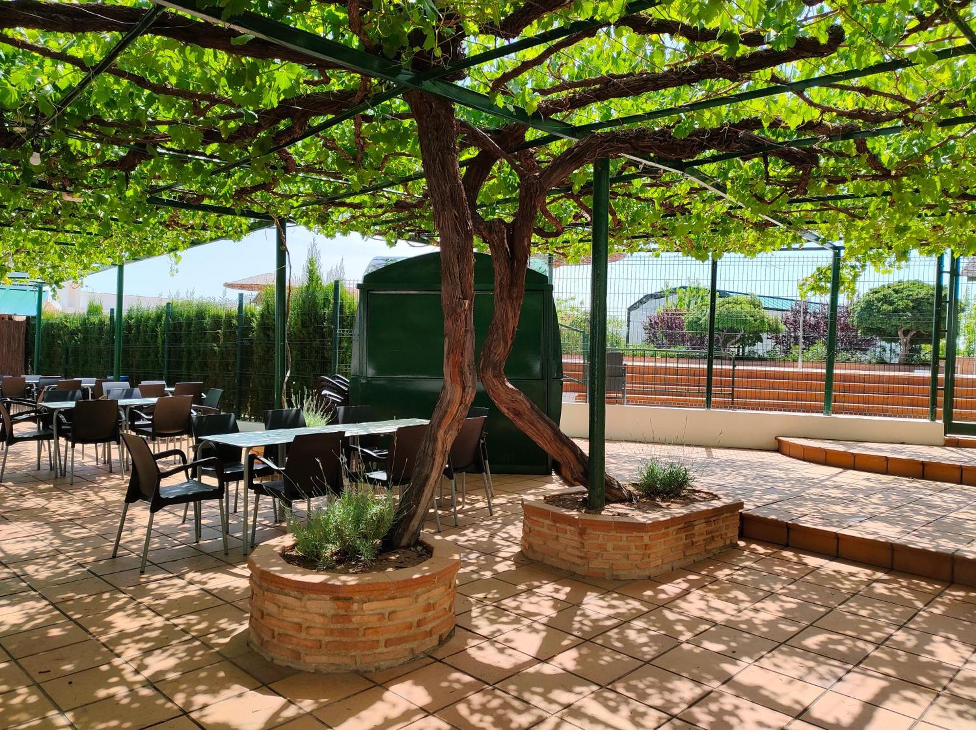 El Molino Hostal-Restaurante Jarafuel Dış mekan fotoğraf